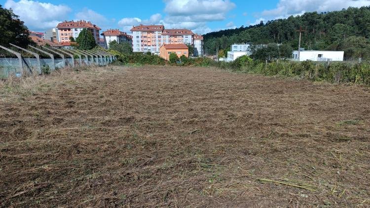 Desbroce de gran terreno durante la ejecución en Campo Real